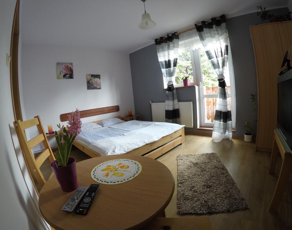 Pokoje Goscinne Boryna Szklarska Poręba Buitenkant foto